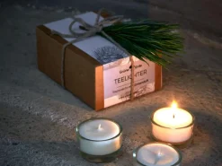 Grüne Erde 12 Teelichter aus Rapswachs mit Zirbenduft, 1 Glaseinsatz