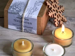 Grüne Erde 12 Teelichter aus Rapswachs, ohne Duft, 1 Glaseinsatz