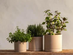 Grüne Erde Blumentopf aus Steingut, natur, 11,5 x 10,5 cm