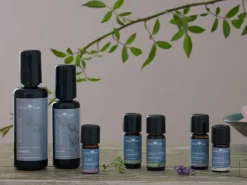 Grüne Erde JOJOBAÖL Basisöl 100 ml