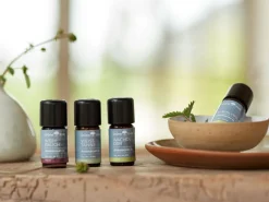 Grüne Erde JOJOBAÖL Basisöl 100 ml