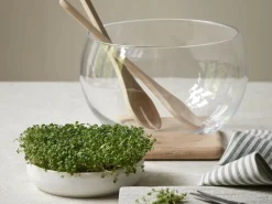 Grüne Erde Kresseteller aus weißem Terracotta, H 4 cm, ø 17 cm