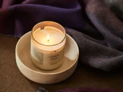 Grüne Erde Natürliche Rapswachskerze ZIRBENWALD im rezyklierten Glas, Baumwolldocht, 325 ml, H 9,5 cm, ø 8,5 cm