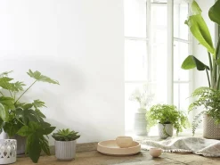 Grüne Erde Schale aus Zirbenholz, handgedrechselt, ø 23 cm