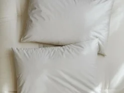 Grüne Erde Schlafkissen Dinkel, Standard, 40 x 80 cm, GOTS, NATURTEXTIL BEST, VEGAN