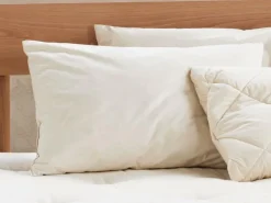 Grüne Erde Schlafkissen Hirse Pur, Standard, 40 x 60 cm, GOTS, NATURTEXTIL BEST, VEGAN