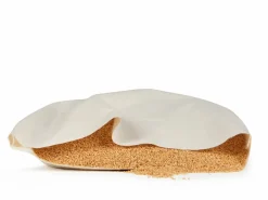 Grüne Erde Schlafkissen Hirse Pur, Standard, 40 x 60 cm, GOTS, NATURTEXTIL BEST, VEGAN