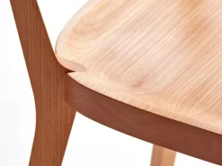 Grüne Erde Set: 2 Stk. Stuhl Asensio ohne Armlehne,